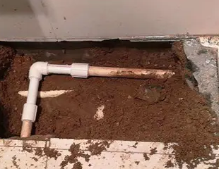 双桥测漏水哪家好