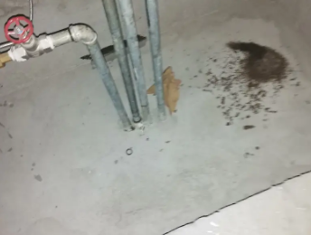 双桥卫生间测漏水价格明细