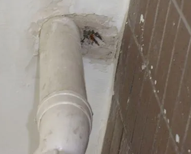 双桥漏水检测哪家好